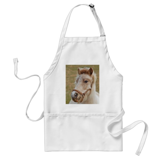 Tablier de poney de Shetland (Devant)