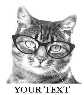 Articles Photo Drole De Chat Pour La Cuisine Zazzle Fr