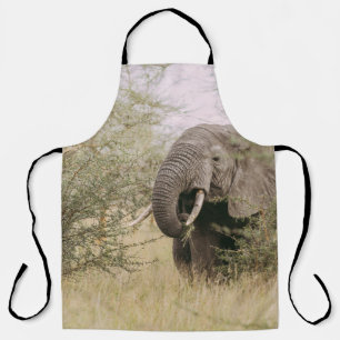TABLIER ÉLÉPHANT MANGEANT D'UN ARBRE
