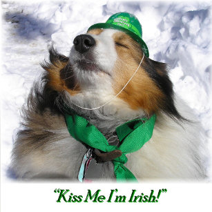 Tablier Embrasse-moi je suis irlandais ! Adulte