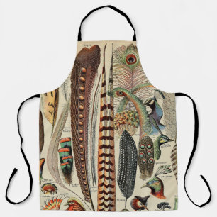 Tablier Feather Bird Wildlife Plumes d'antiquités