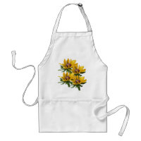 Fleurs de marguerite de Susan observées par noir