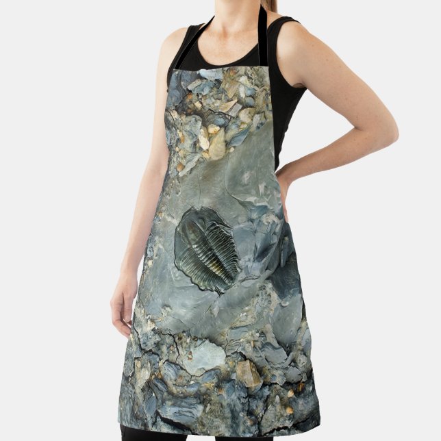 Tablier Fossile (Insitu)