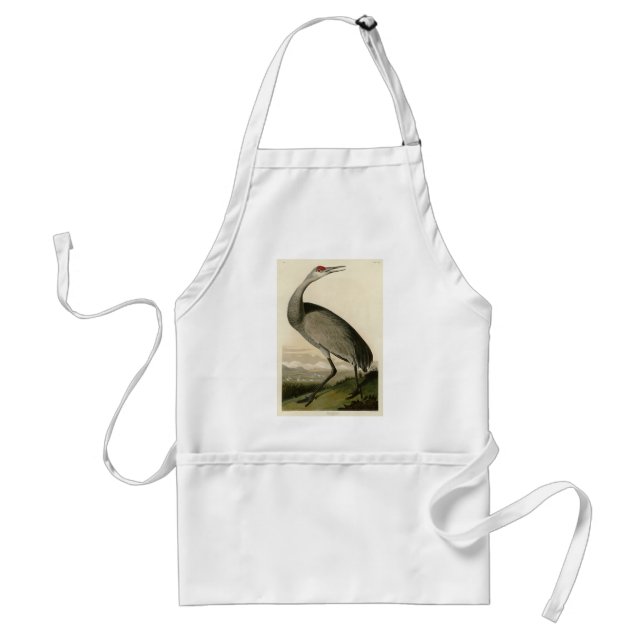 Tablier Grue de Sandhill d'Audubon's Birds of America (Devant)
