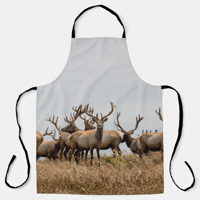 TABLIER HERBE DE CERF (Recto)