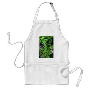 Tablier Herbes