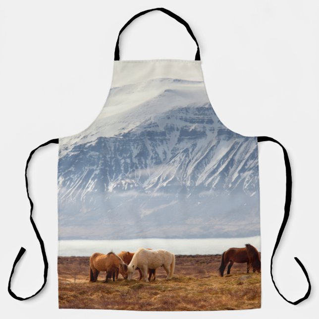 TABLIER ISLANDE (Recto)