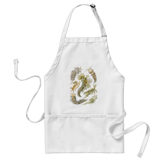 Tablier Limaces de mer, escargots par Ernst Haeckel, Anima (Devant)