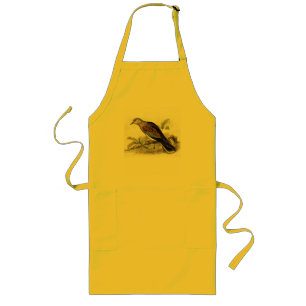 Tablier Long Pigeon Colombe Streptopelia Peinture Nature Oiseau