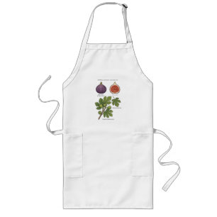 Tablier Long Planche Botanique Figue Ficus Carica