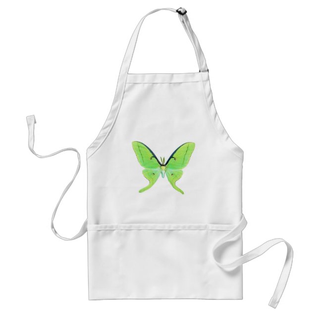 Tablier Luna moth sur un arrière - plan vert pâle (Devant)