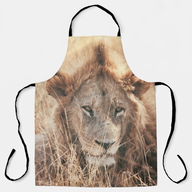 TABLIER M. LION KING (Recto)