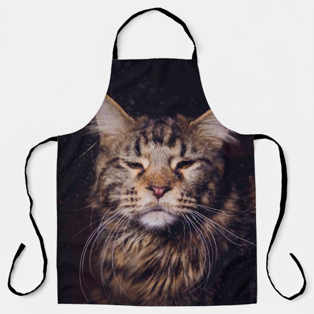 Tablier maine coon sur un arrière - plan noir (Recto)