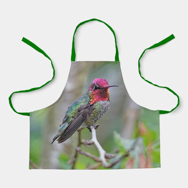 Tablier Merveilleux colibri d'Anna masculine sur le prunie (Recto)