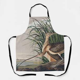 Tablier Oiseau de Courlis à long bec Audubon