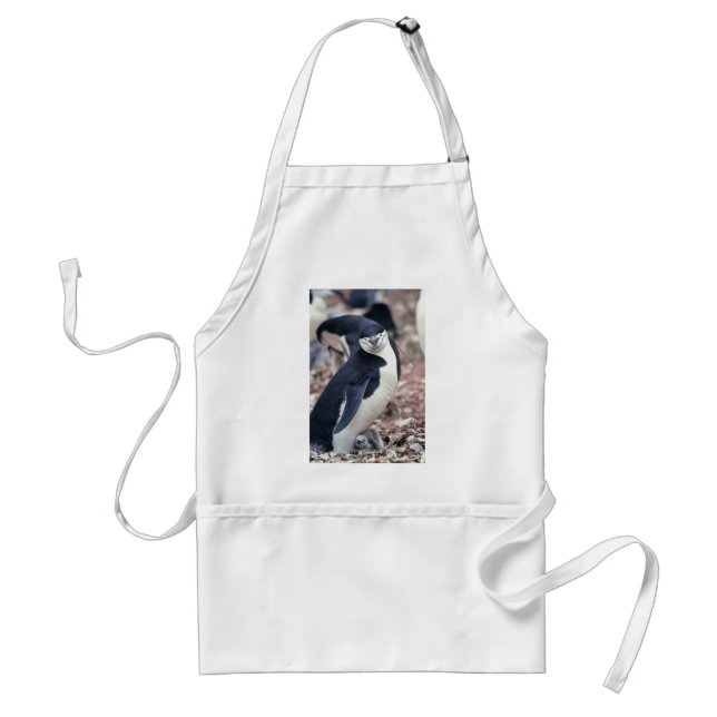 Tablier Oiseau de pingouin mignon animal noir eau blanche (Devant)