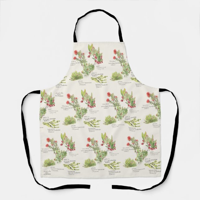 Tablier Parc national des volcans de l'île d'Hawaï (Recto)