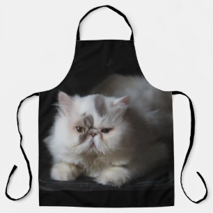 Tablier perse, mignon, chat, animal, isolé, animal, animal