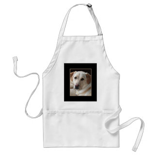 Tablier Photo d'un chien de trieur du Labrador jaune sur A