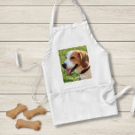 Tablier Photo et nom du chien Beagle personnalisé<br><div class="desc">Beagle personnalisé Photo et nom du chien design - customisez cette tenue avec une photo téléchargée de votre Beagle le nom du chien ou ajoutez votre propre texte - Nous aimons "nom du chien", l'anniversaire du chien ou le jour du passage. Il vous suffit de cliquer sur "personnaliser" pour ajouter...</div>