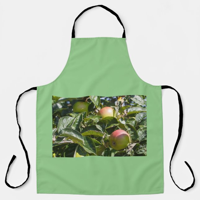 Tablier Pommes mûrissant (Recto)