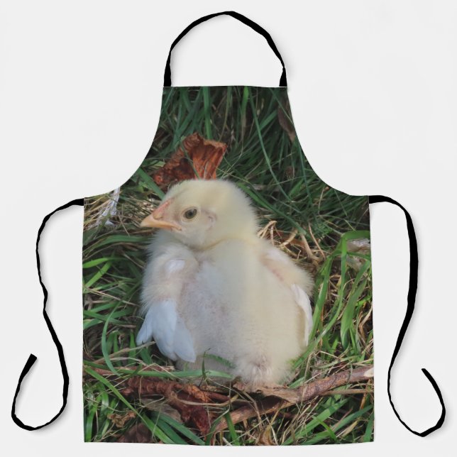 Tablier poulet, poussin, ferme, animal, oiseau, volaille,  (Recto)