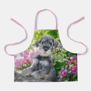 Tablier Puppy de Schnauzer dans un Flowering Garden -
