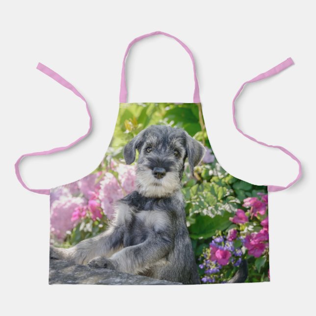 Tablier Puppy de Schnauzer dans un Flowering Garden - (Recto)