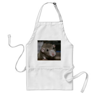 Tablier Rat curieux