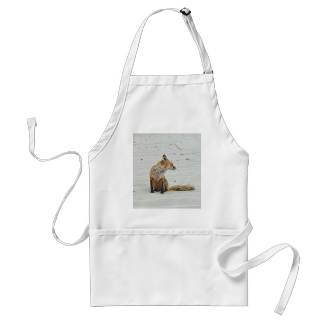 Tablier Red Fox Vixen - Island Beach State Park - NJ (Devant)