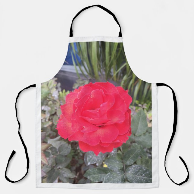 Tablier robinet (Recto)