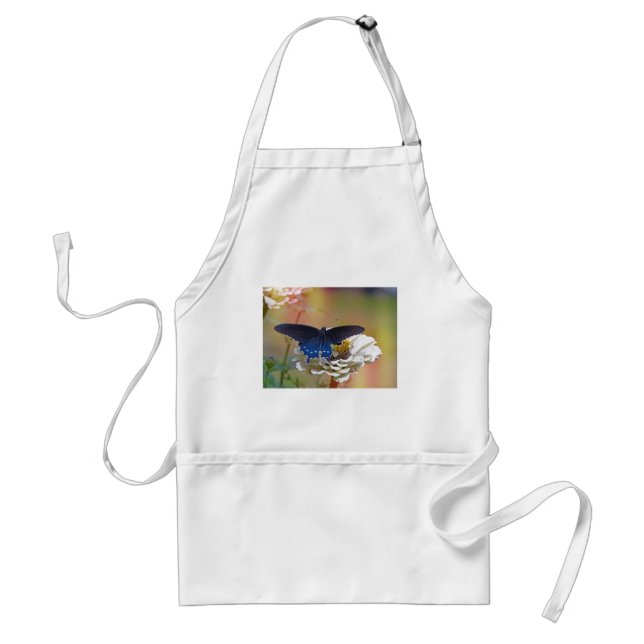 Tablier Spicebush Swallower (Devant)
