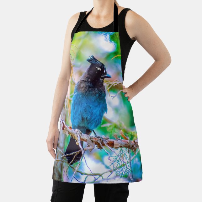 Tablier Steller's Jay - Photographie originale (Insitu)