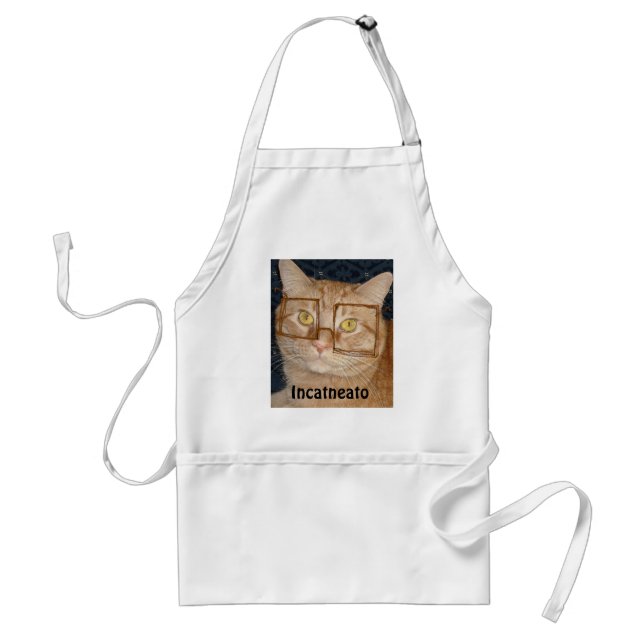 Tablier Tabby Orange Chat/Incognito (Devant)