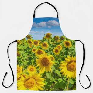 Tablier Terrain de tournesol, ensoleillé l'été.