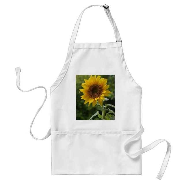 Tablier Tournesols dans le domaine (Devant)