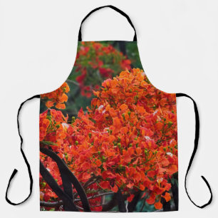 Tablier tree with magnificent red-colored flower