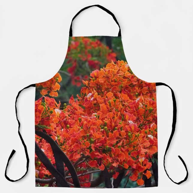 Tablier tree with magnificent red-colored flower (Recto)