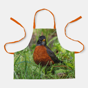 Tablier Un étrange Robin Américain dans l'herbe
