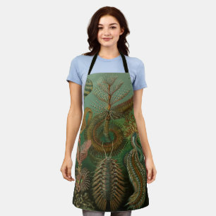 Tablier Vers Annélides Chaetopoda par Ernst Haeckel