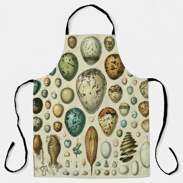 Tablier Vintage Bird Eggs French Fish Egg (Recto)