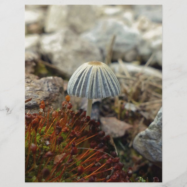 Tabouret minuscule (Devant)