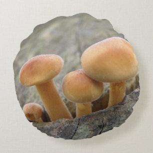 Tabourets sur un Coussin de tronc d'arbre