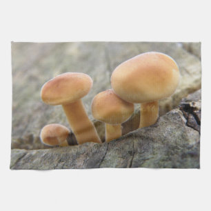 Tabourets sur un tronc d'arbre Serviette de cuisin