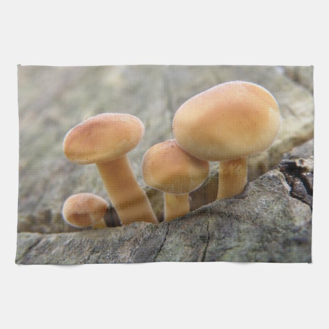 Tabourets sur un tronc d'arbre Serviette de cuisin (Horizontal)