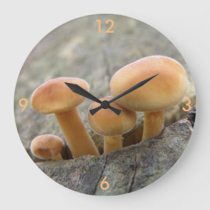 Tabourets sur une horloge murale d'arbre