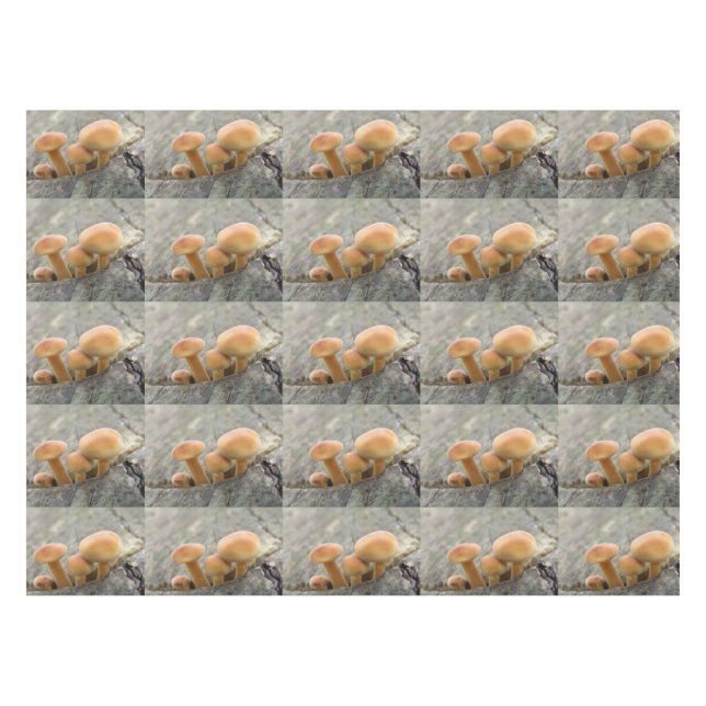 Tabourets sur une nappe de tronc d'arbre (Devant (Horizontal))