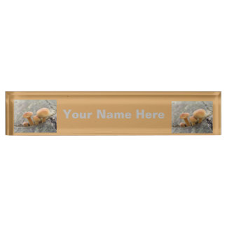 Tabourets sur une plaque signalétique personnalisé