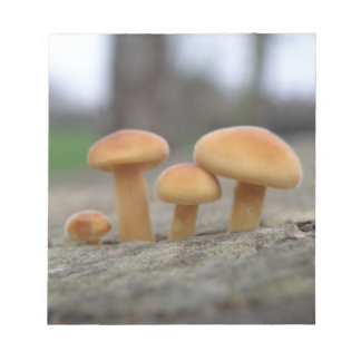 Tabourets Tabourets Macro Bloc-notes