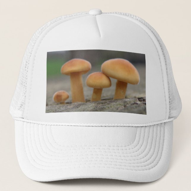 Tabourets Toadstools Casquette (Devant)